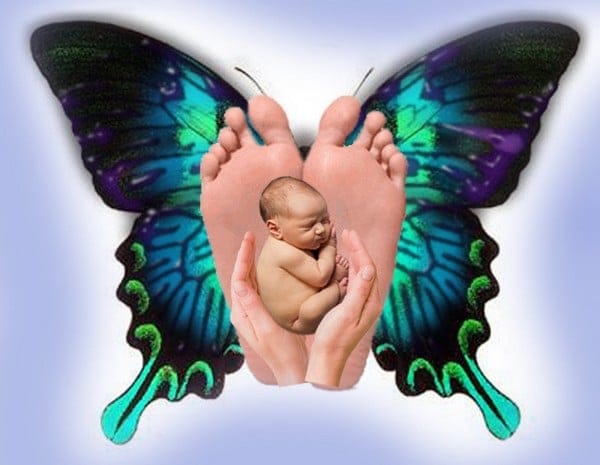 Metamorfica sviluppo umano